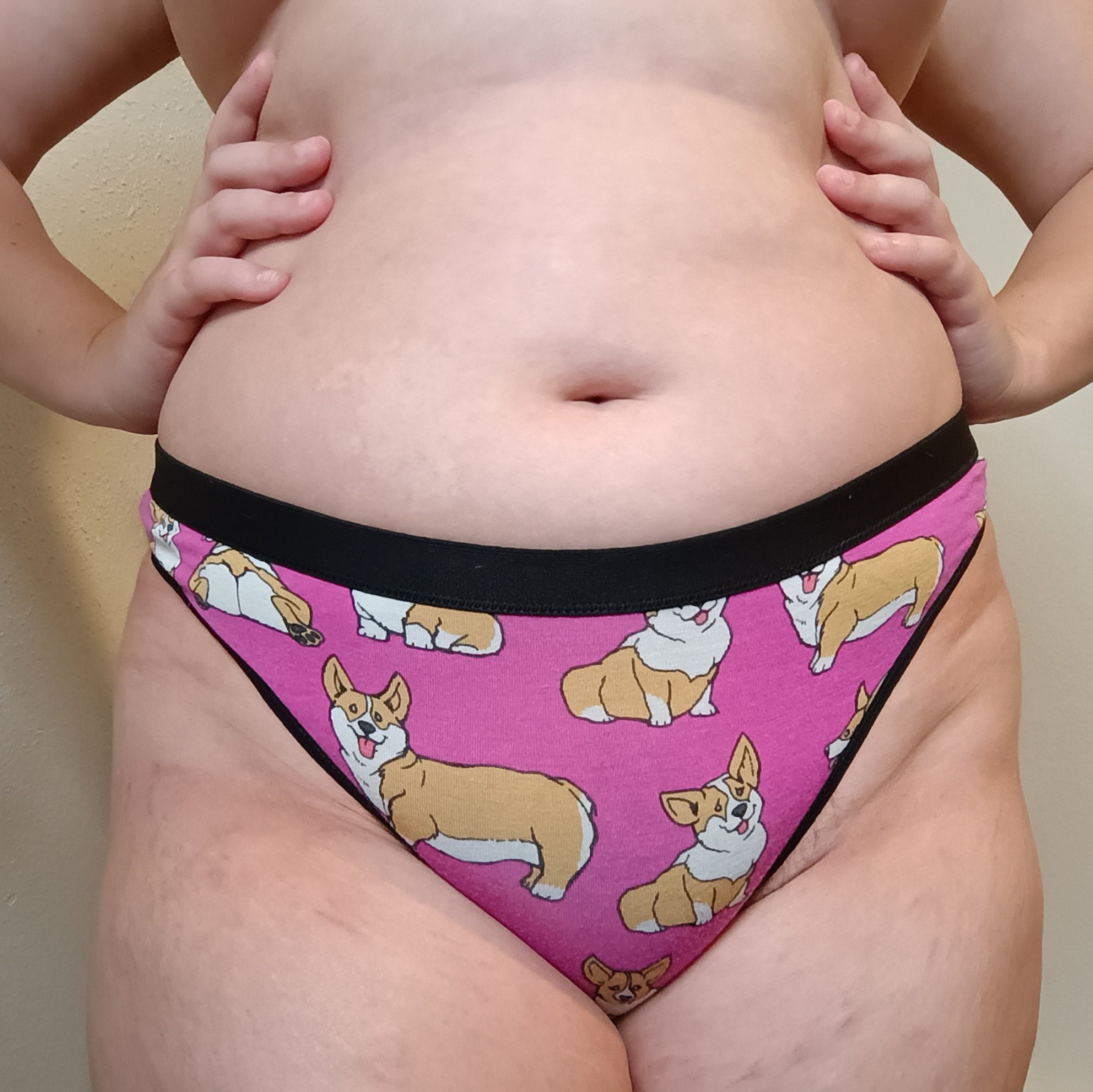 MeUndies Corgi Thong